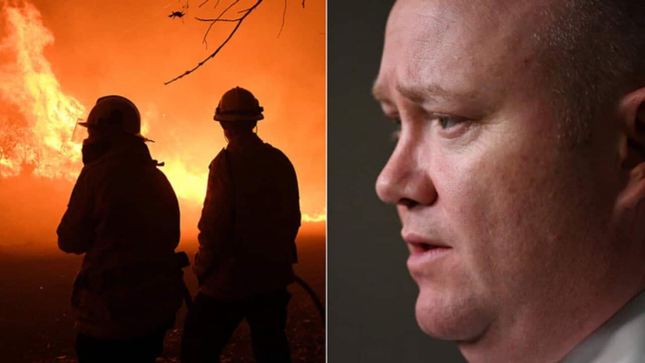 Shane Fitzsimmons, commissaire des services d'incendie en milieu rural de la Nouvelle-Galles du Sud a rejeté les nouvelles selon lesquelles des pompiers volontaires qui luttent contre les incendies à travers l'État devraient être payés.