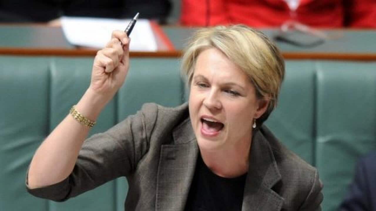 Deputy Labor leader Tanya Plibersek