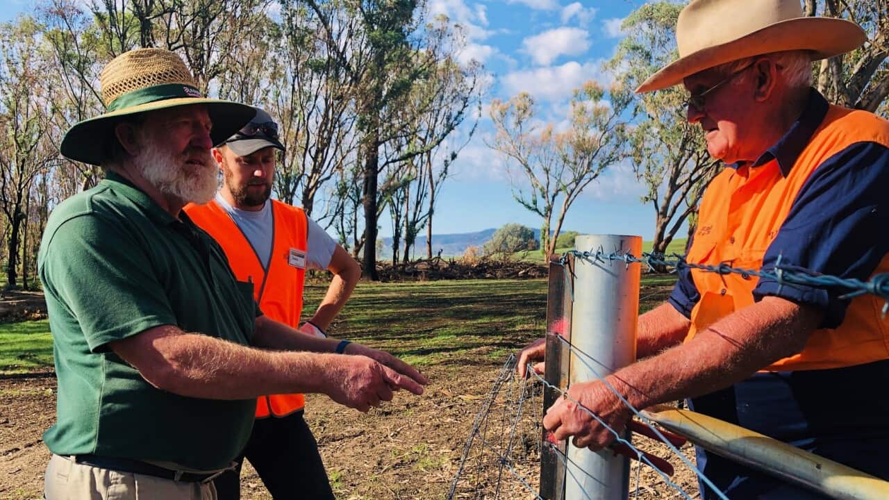 Norm Sharp working on fences with BlazeAid