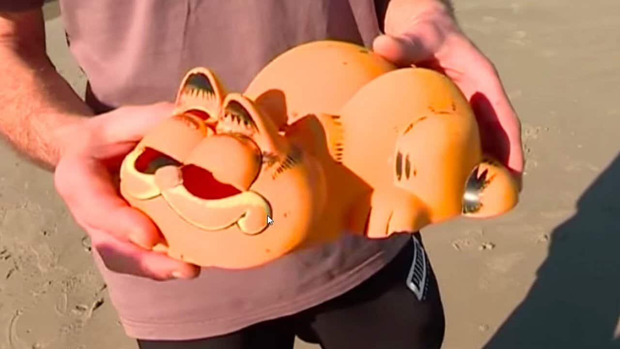 For more than 30 years, the Garfield-shaped phones have been washing up on the beaches of northwestern France.