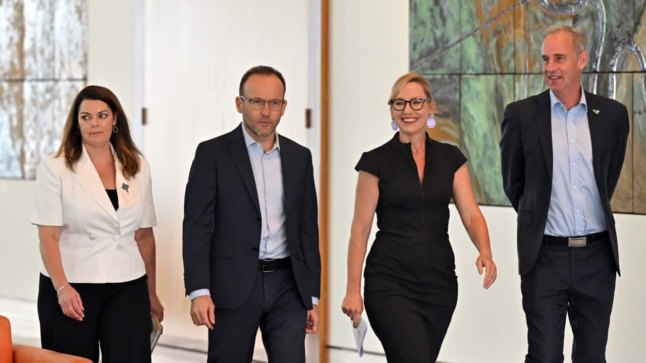 ADAM BANDT GREENS PRESSER