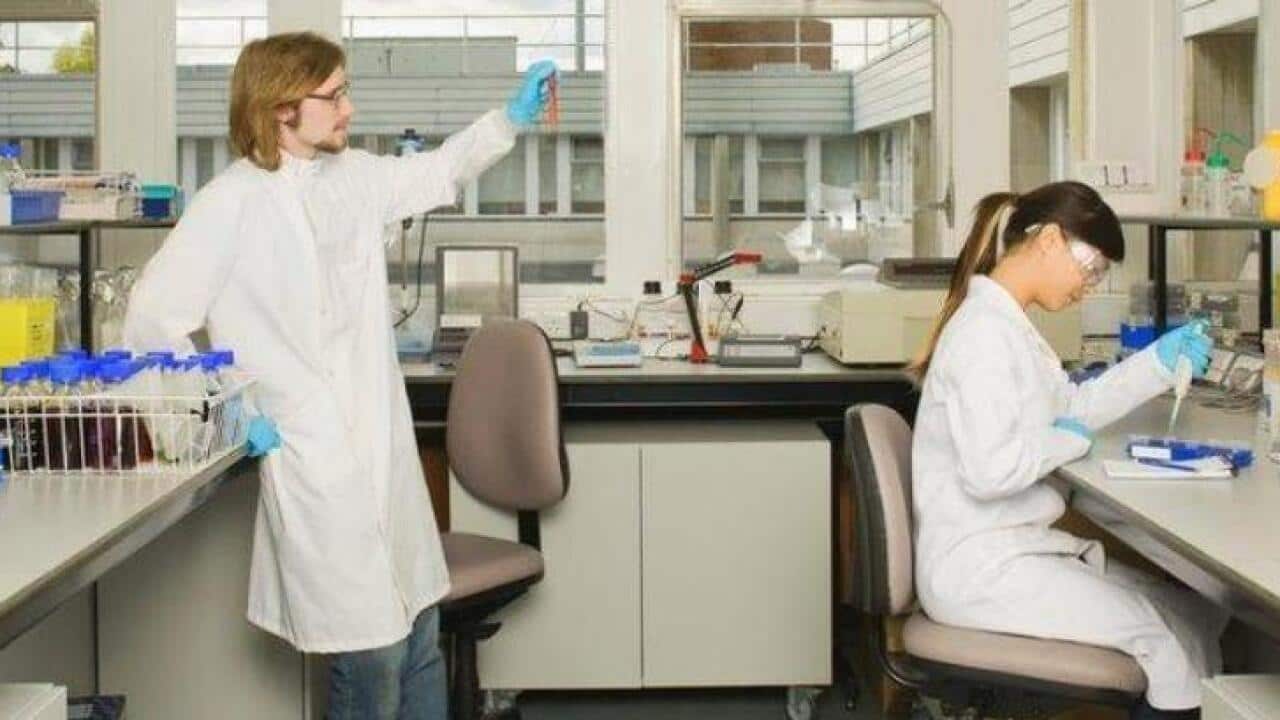 science at work