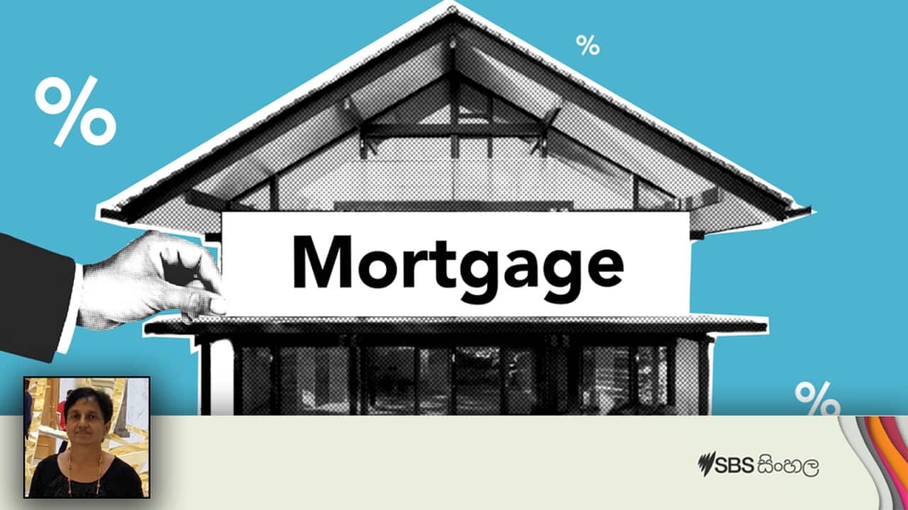 Rupa Wickramaratne 02.jpg