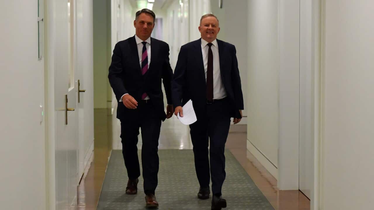 Deputy Leader of the Opposition Richard Marles and Leader of the Opposition Anthony Albanese