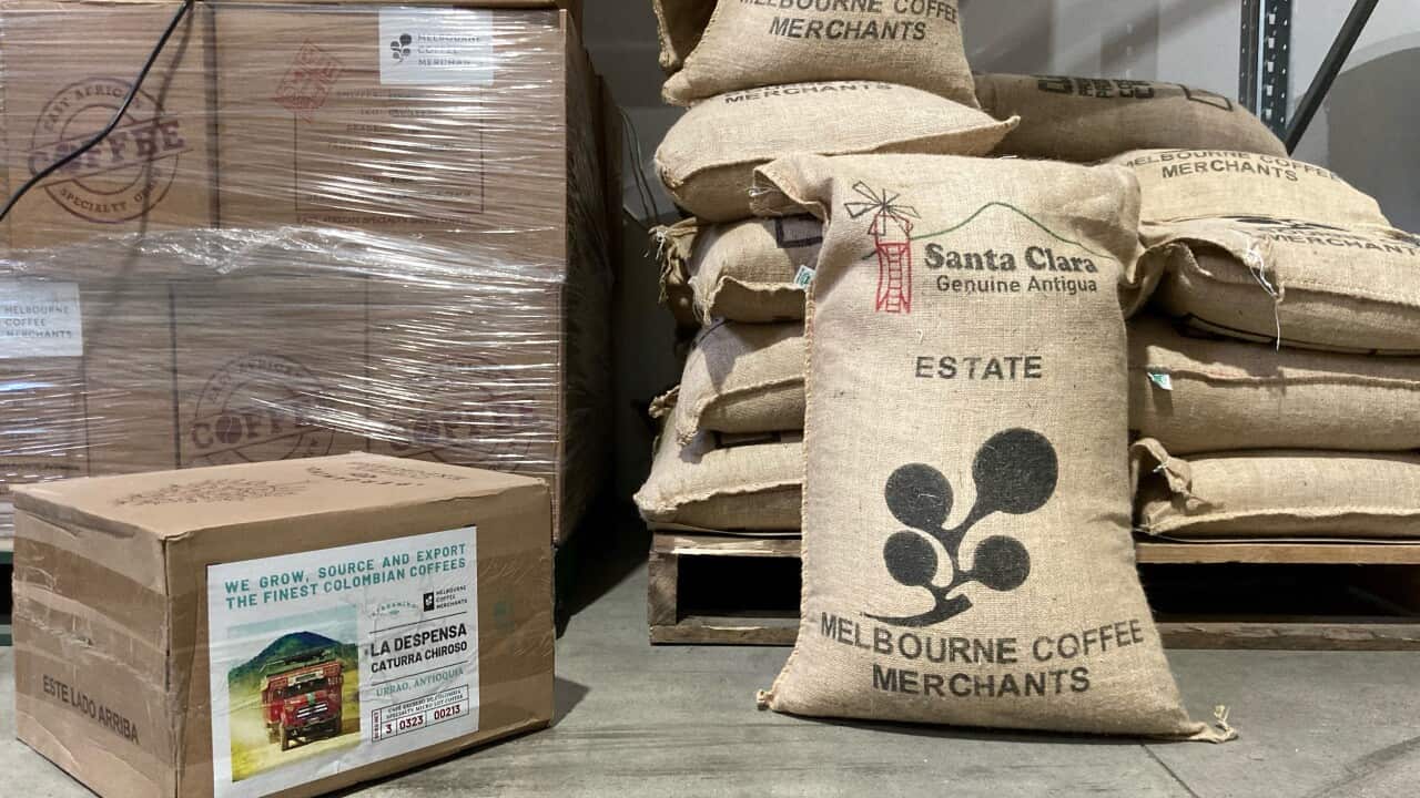 Photo by Toshiyuki Ishiwata