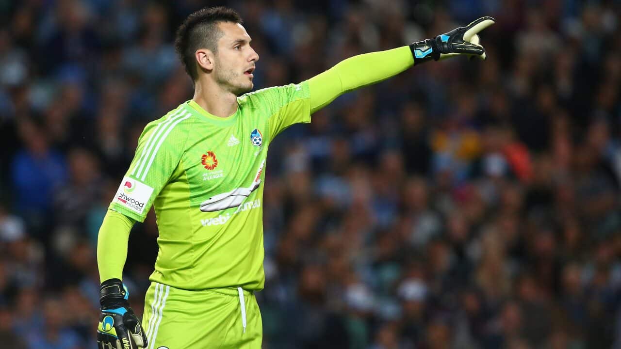 Janjetovic