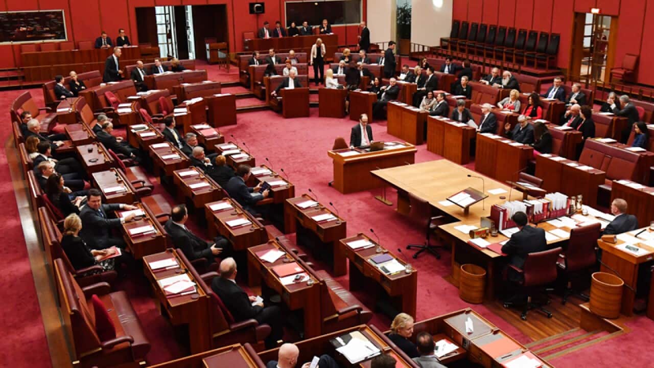 The Senate chamber at Parliament House in Canberra