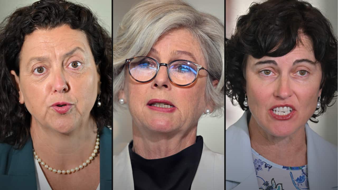 A three-way image of Monique Ryan, Helen Haines and Kate Chaney.