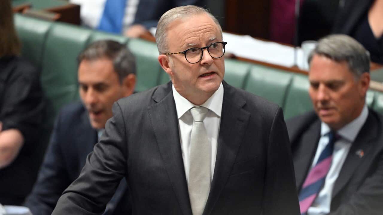 Anthony Albanese speaks during Question Time.