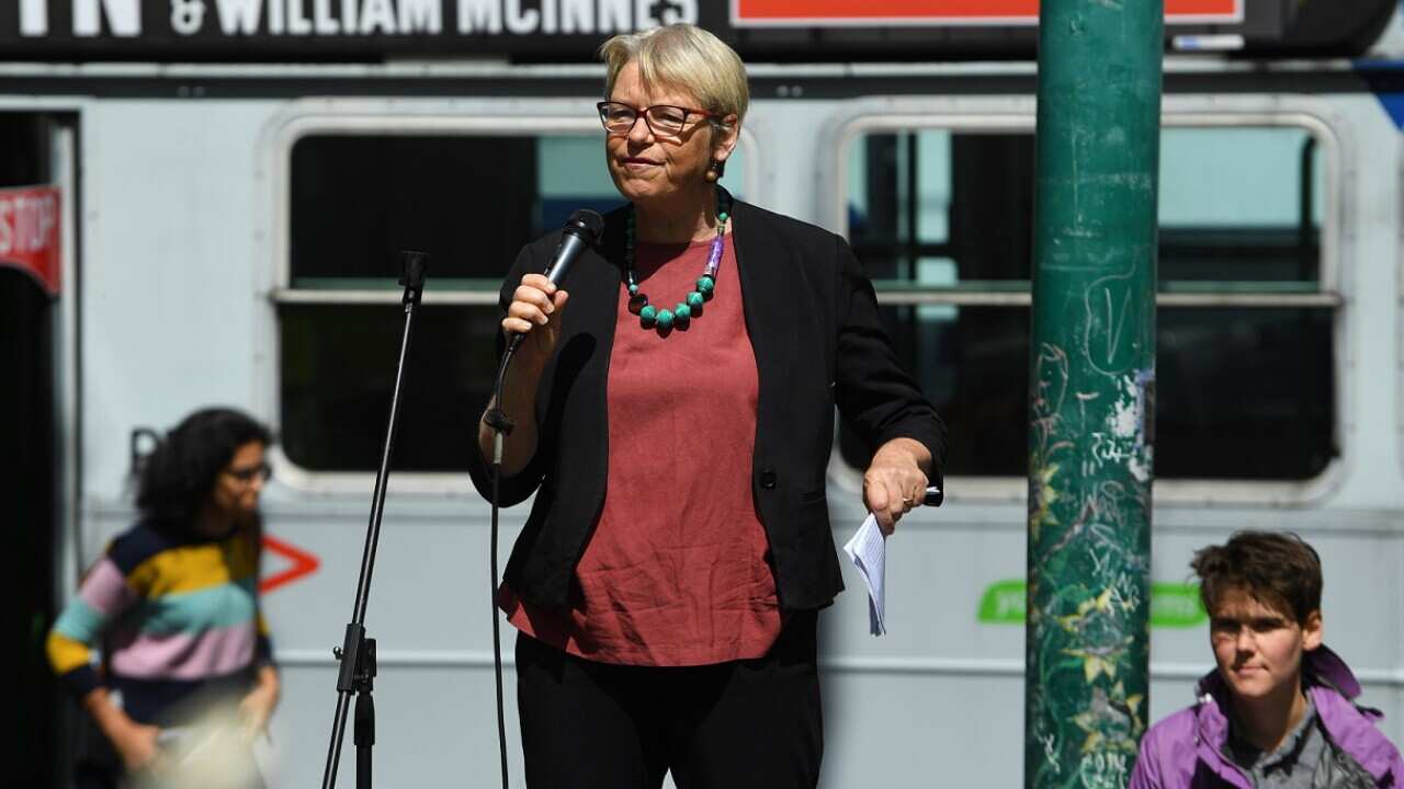 Greens senator Janet Rice