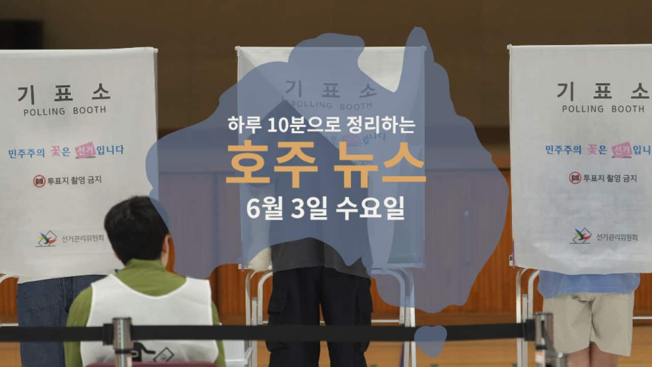 Daily News (3).png
