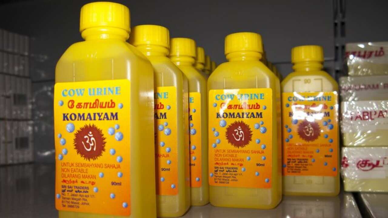 Cow urine sold along with food