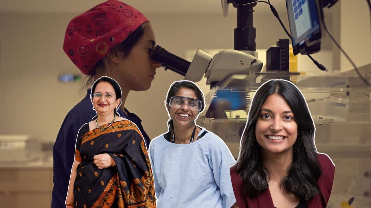 Copy of Copy of Copy of GOld (1).jpg