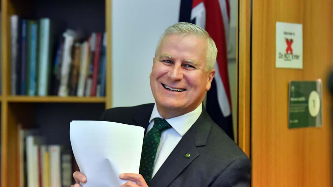 Michael McCormack has announced the first step of travel (AAP)