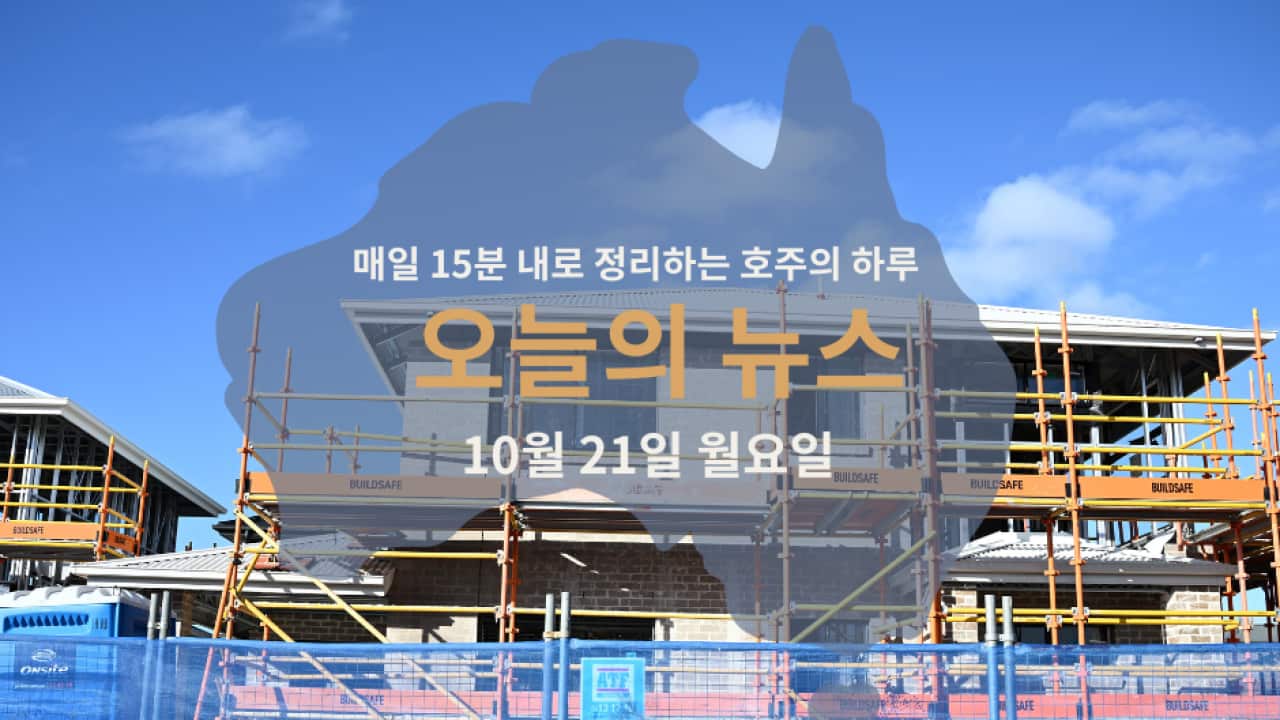 15news_web21.png