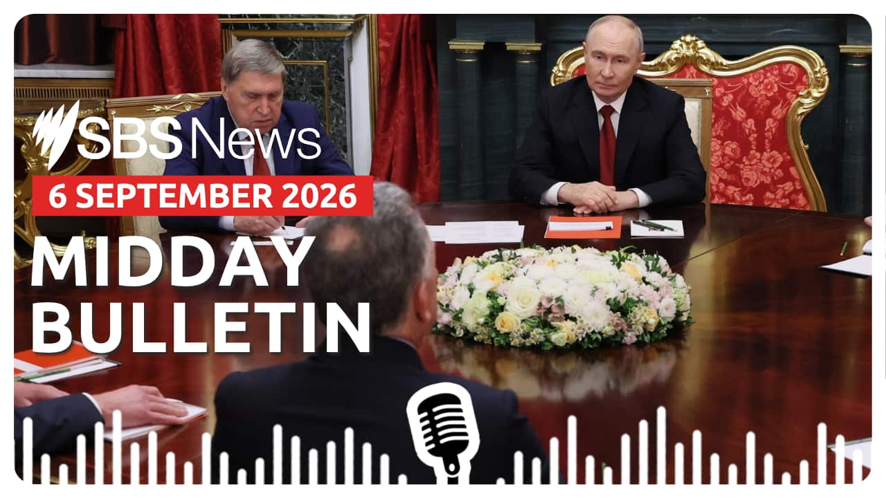 MIDDAY BULLETIN (1).png