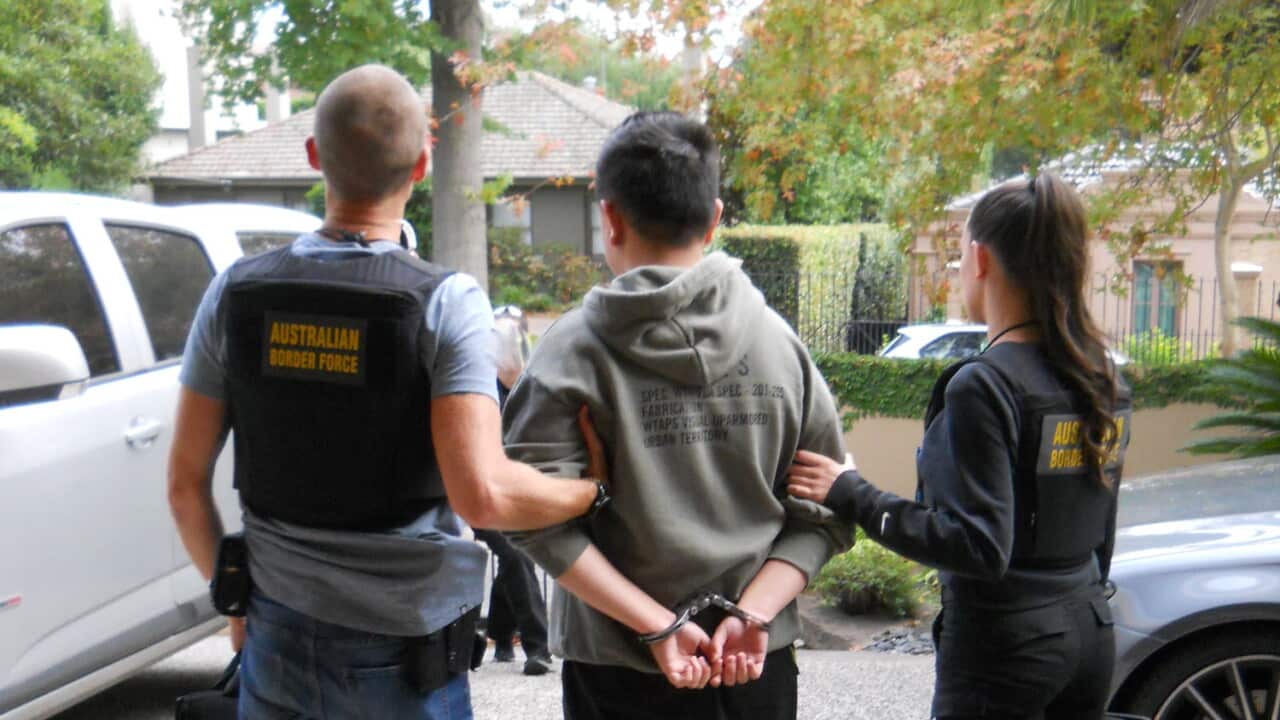 Chinese national arrested for importing child-like sex doll parts