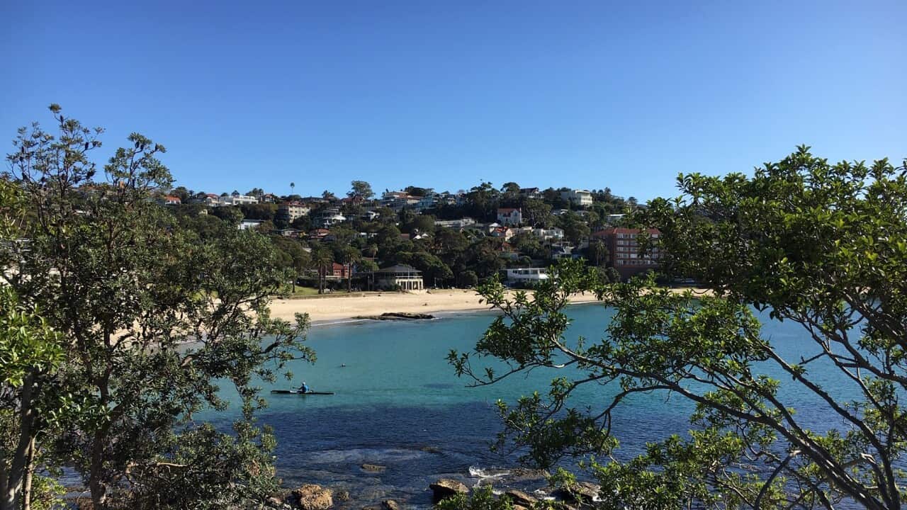 Sydney skies are clearer than they have been for years