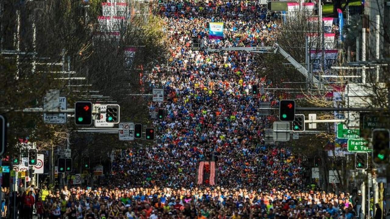 city to surf fun run