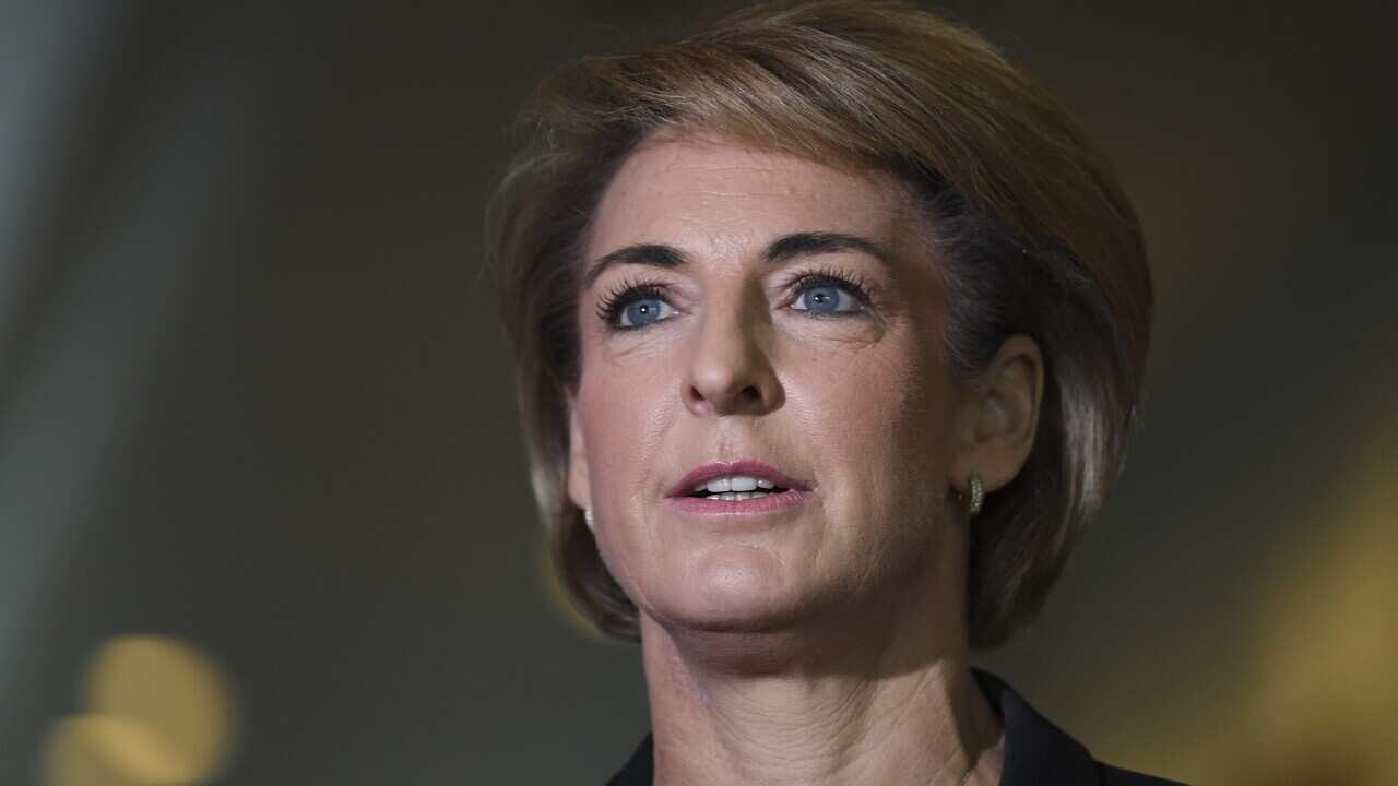 Employment Minister Michaelia Cash.