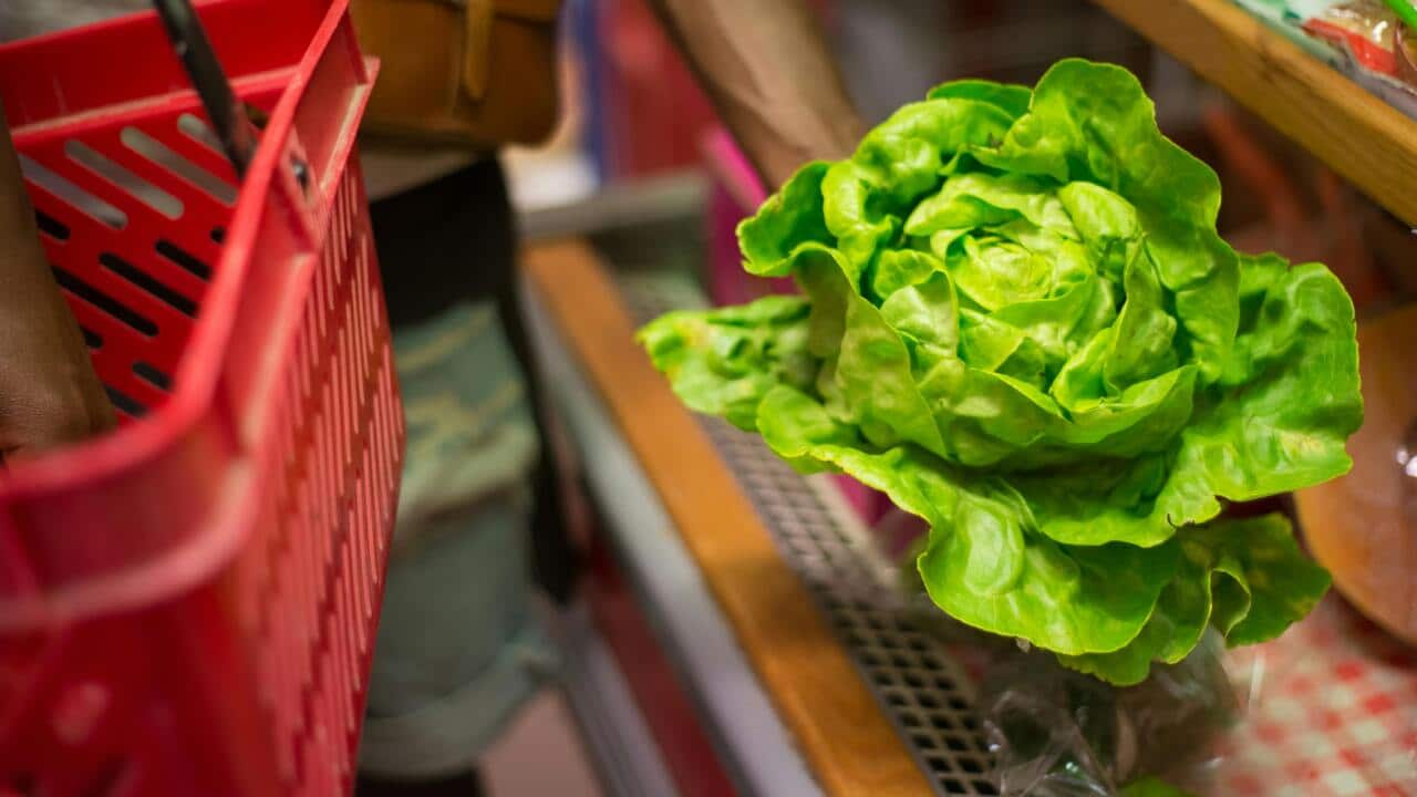 pexels-kampus-8475128.jpg