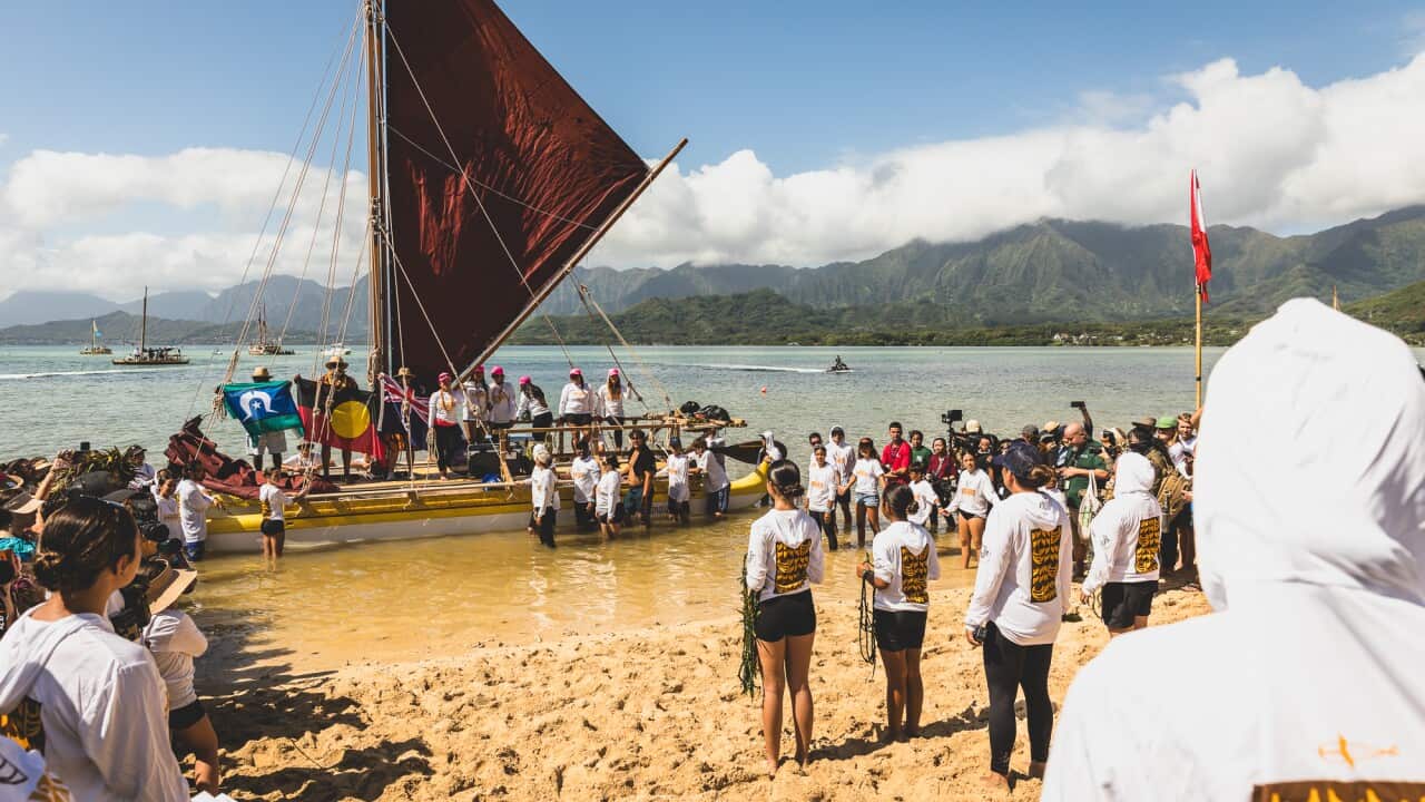 Wednesday 5 June 2024. Credit_ Benjamin Warlngundu Ellis (1).jpg