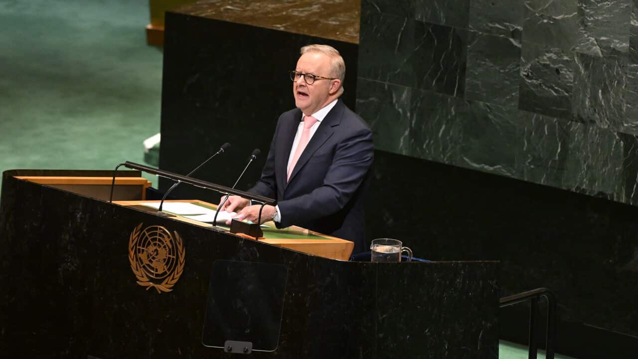 ANTHONY ALBANESE UNITED NATIONS
