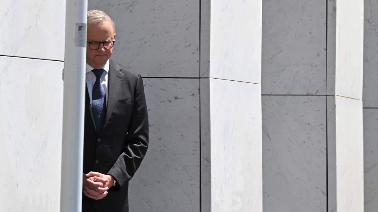 Il primo ministro Anthony Albanese, ritratto in attesa dei reali d'Inghilterra a Canberra lo scorso ottobre.