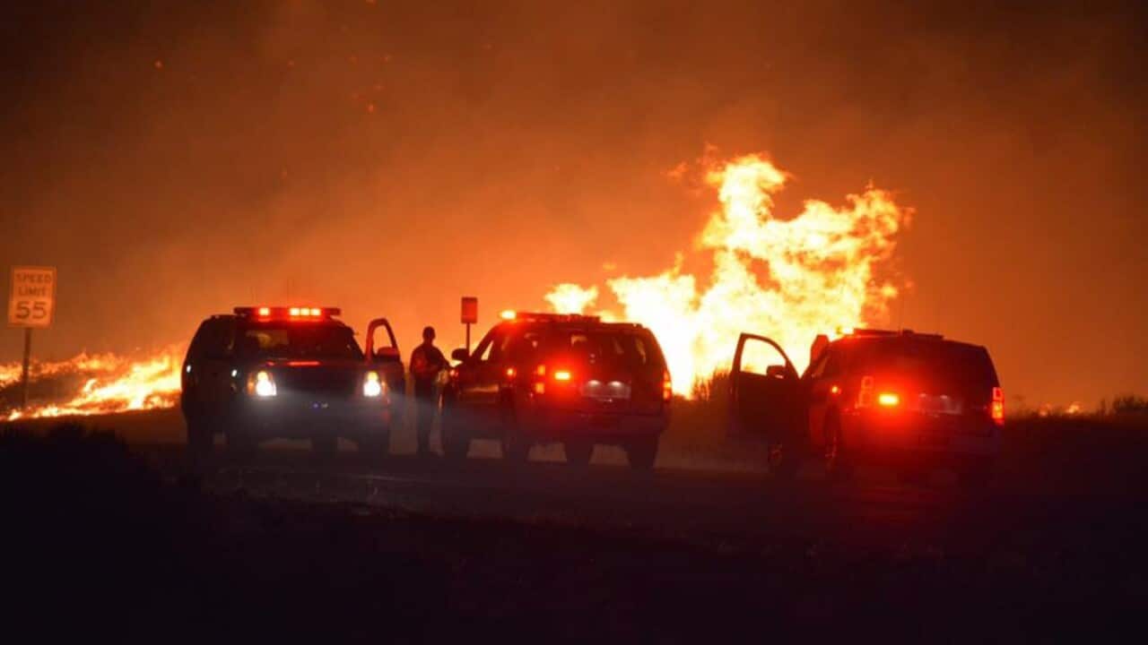 A handout photo released by the Kern County Fire Department on 23 June 2016 shows the fast spreading Erskine Fire which has destroyed 80 homes.