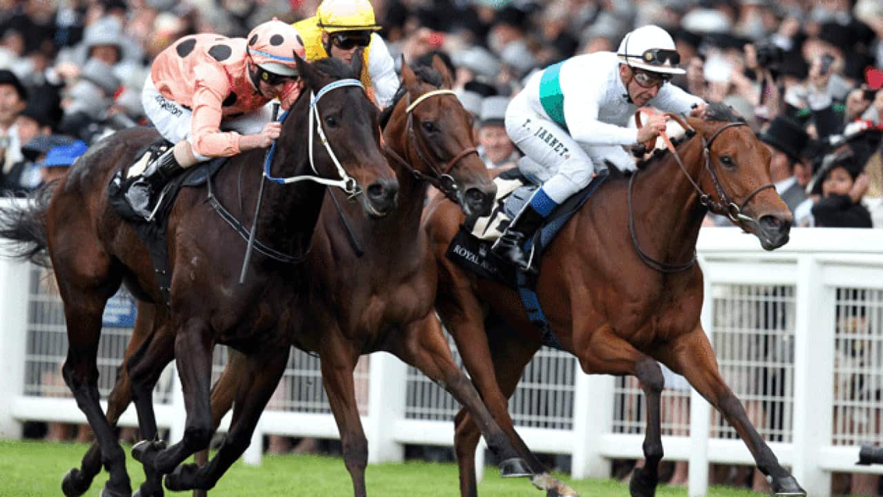 Black_Caviar_Ascot_L_120624_AAP_1597387990