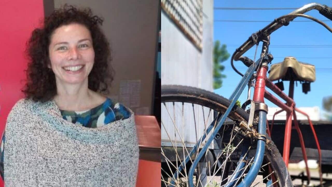 Dani Valent