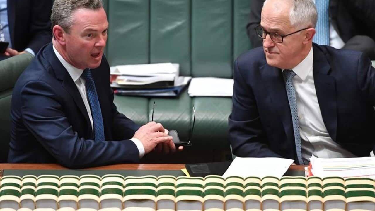 pyne/turnbull