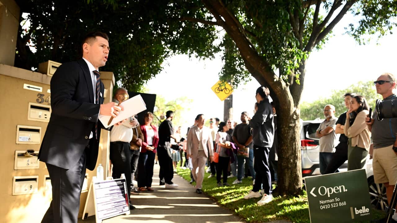 Un'asta a Homebush a Sydney, sabato 31 maggio 2025.