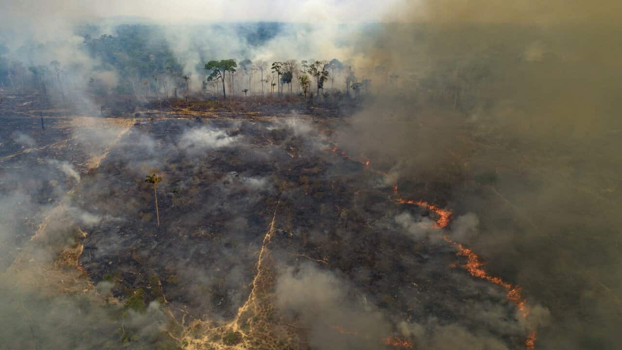 Fire consumes land recently deforested by cattle farmers near Novo Progresso, Para state, Brazil, Sunday, Aug. 23, 2020
