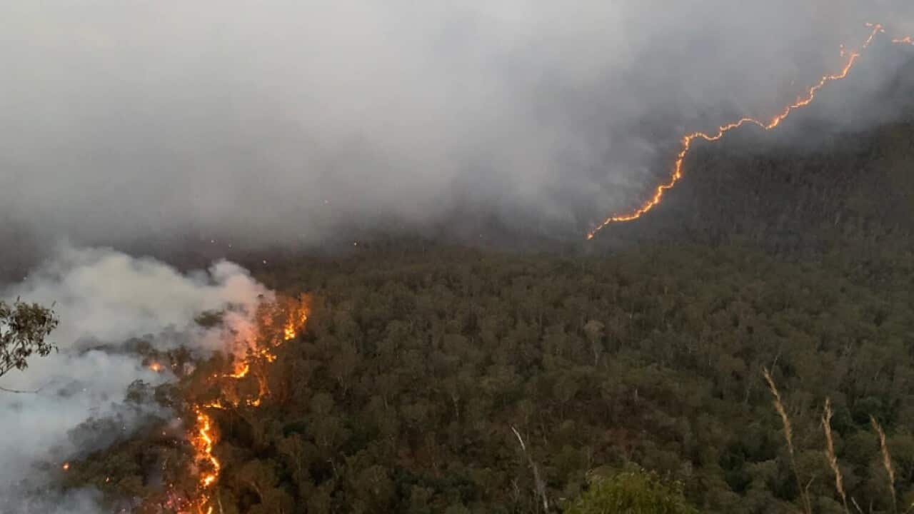 Image for read more article ''