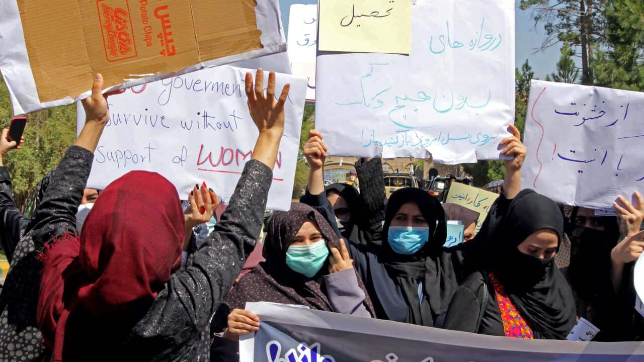Afghan women hold placards as they take part in a protest in Herat