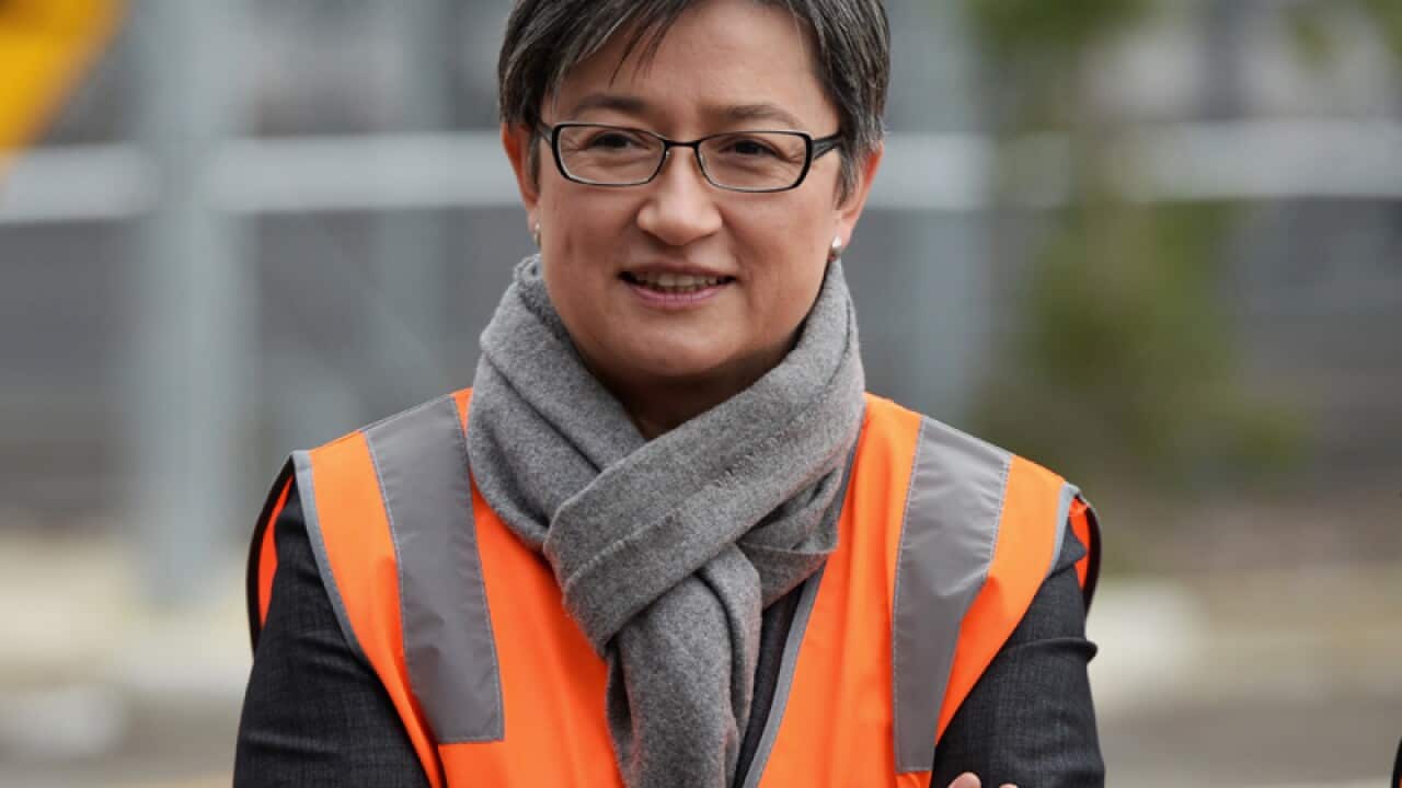 Shadow Minister for Trade Senator Penny Wong
