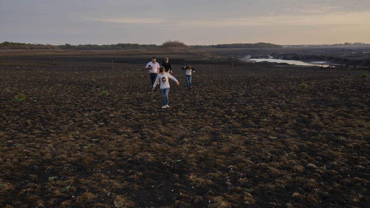 Image for read more article 'Más información:'