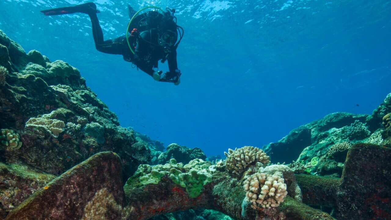 A diver at a shipwreck in the Great Barrier Reef