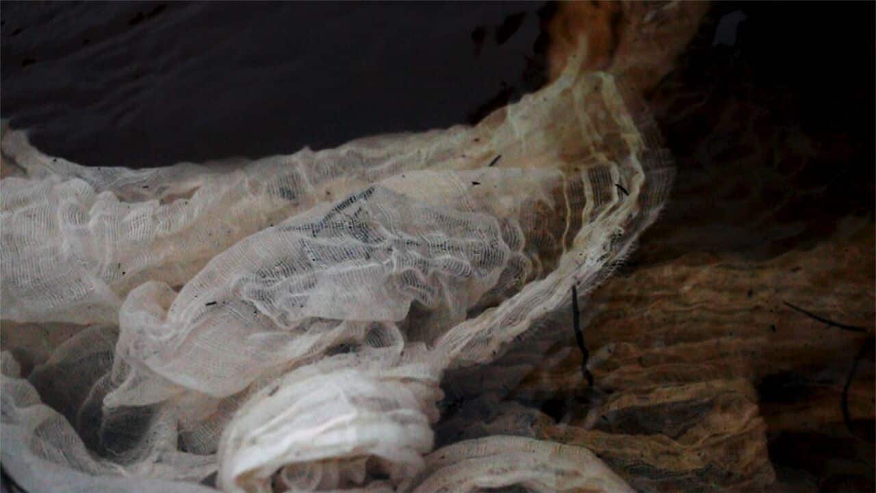 Cassie Sullivan.jpeg