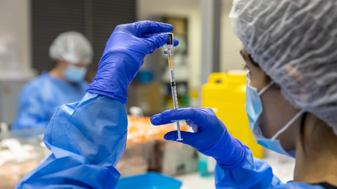 The back of a person as they hold up a needle and draw liquid from a small cannister