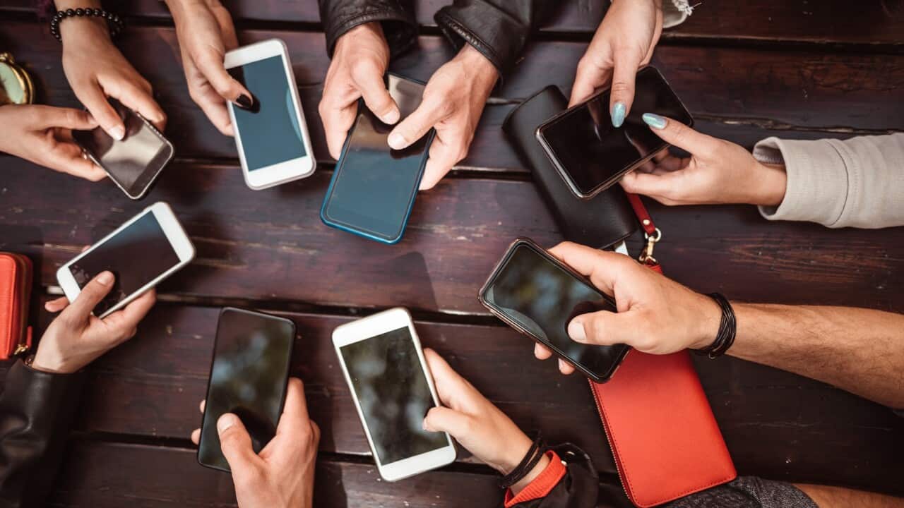 addicted to the social media