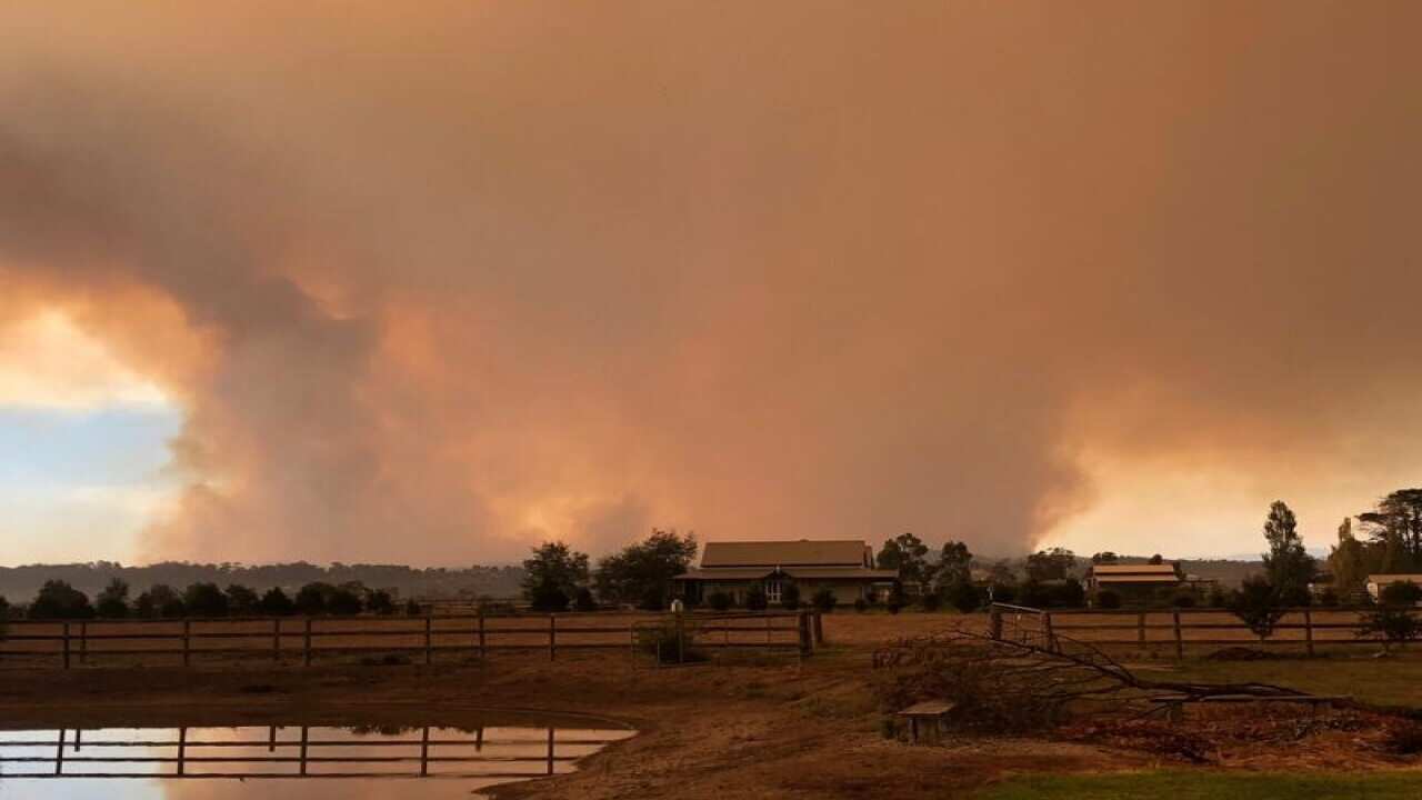 Smoke rising from the burning bushfire in Victoria's east.