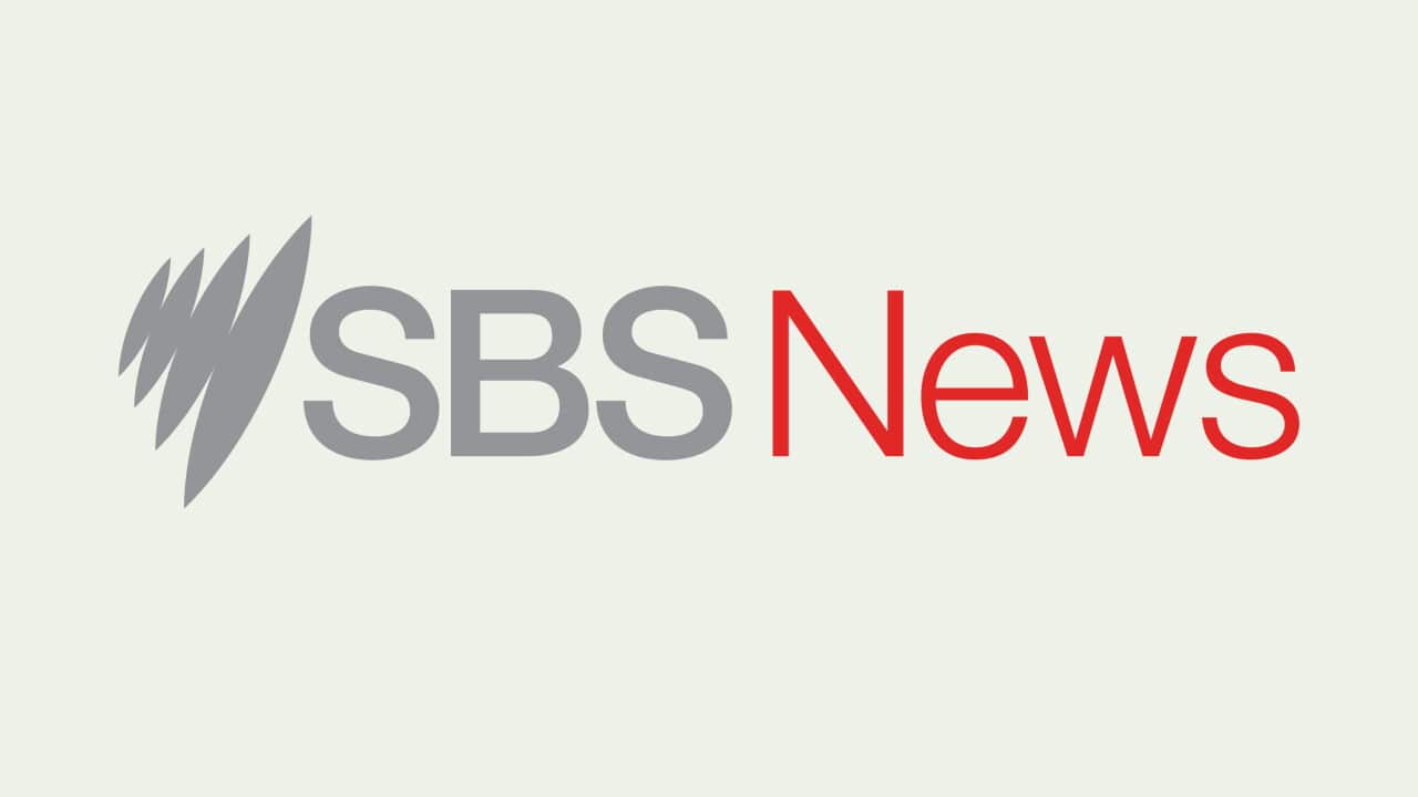 SBS News