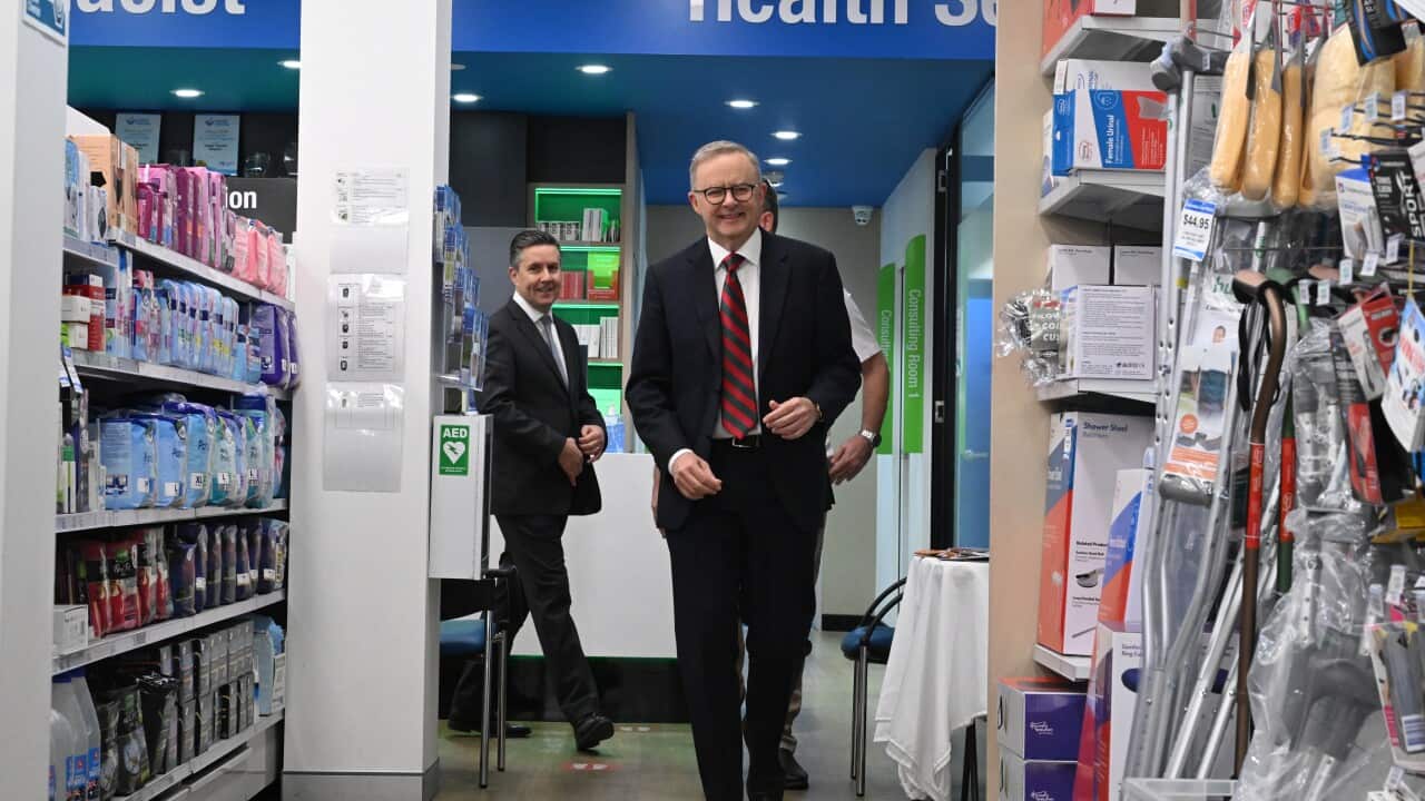 ANTHONY ALBANESE CHEMIST VISIT
