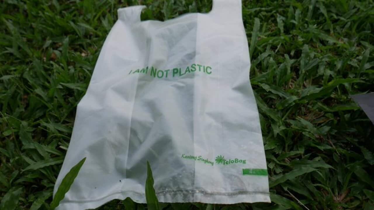 kantong daun singkong.jpg
