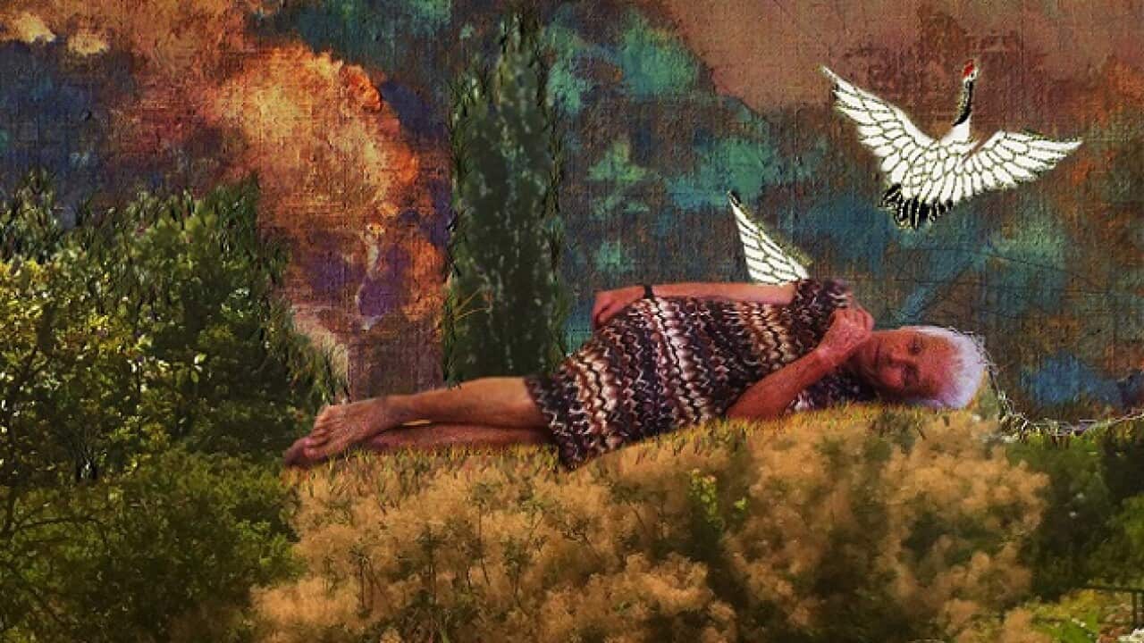 Collage by Anna Jahjah