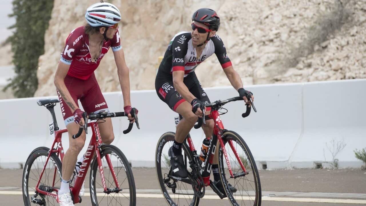 Rui Costa, UAE Team Emirates, Abu Dhabi Tour 2017