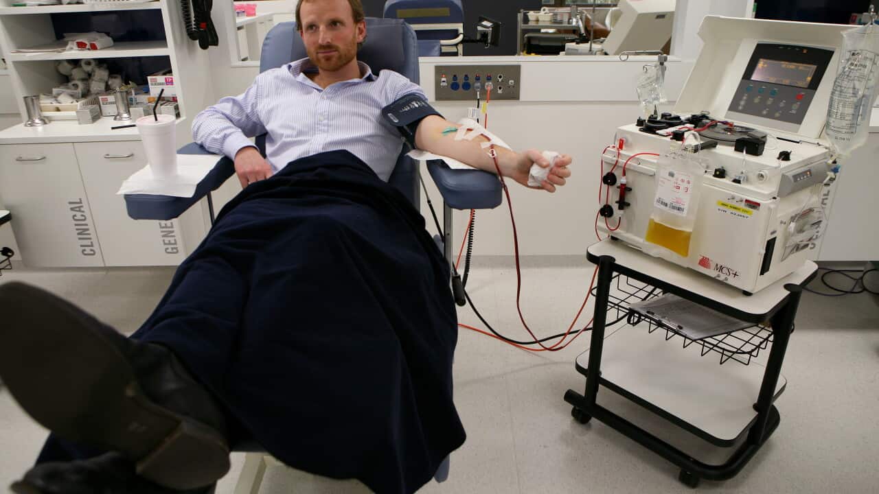A man donates his plasma at the Red Cross centre in Sydney - AAP.jpg