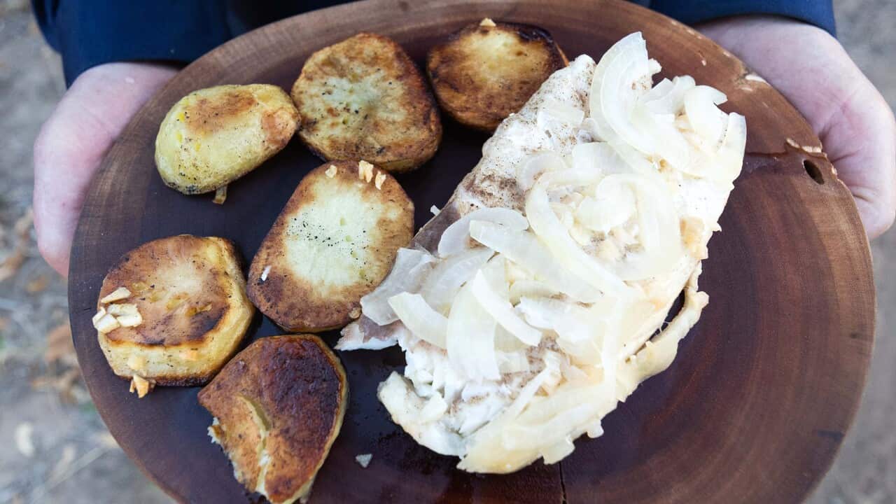 Outback Tom barramundi.jpg